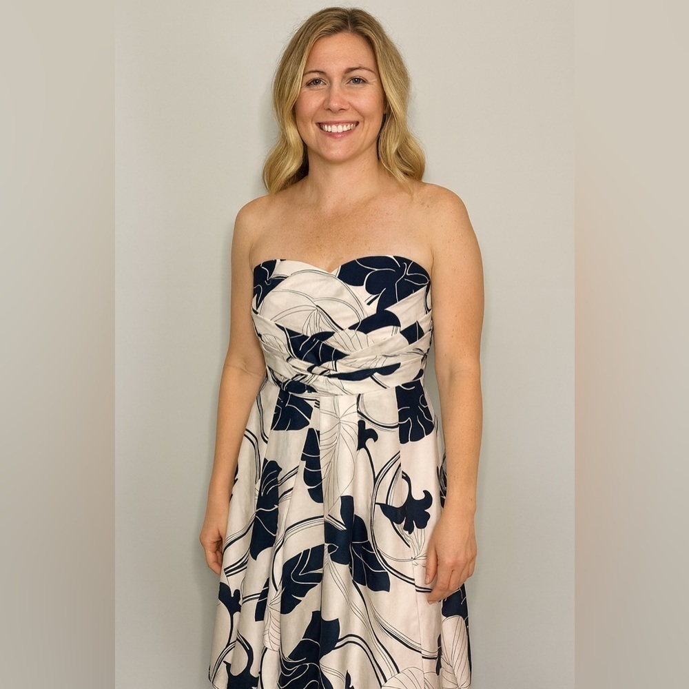 NWOT Ann Taylor 100% Silk Elegant Dress Size 0​​​